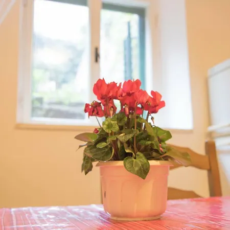 Apartman Juricic Labin  Exterior photo